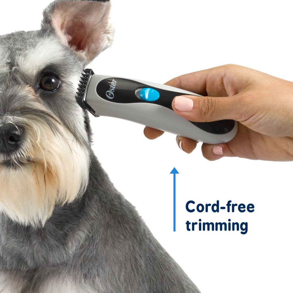 Schnauzer trimmer store